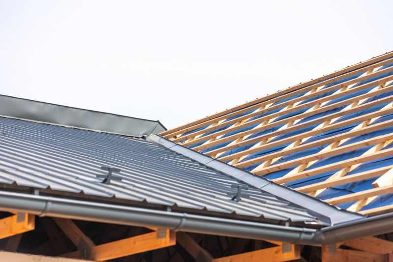 Common Metal Roof Problems And When Professional Repair Is Needed
