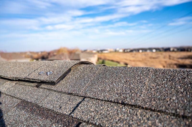 Fixing Missing Or Damaged Shingles
