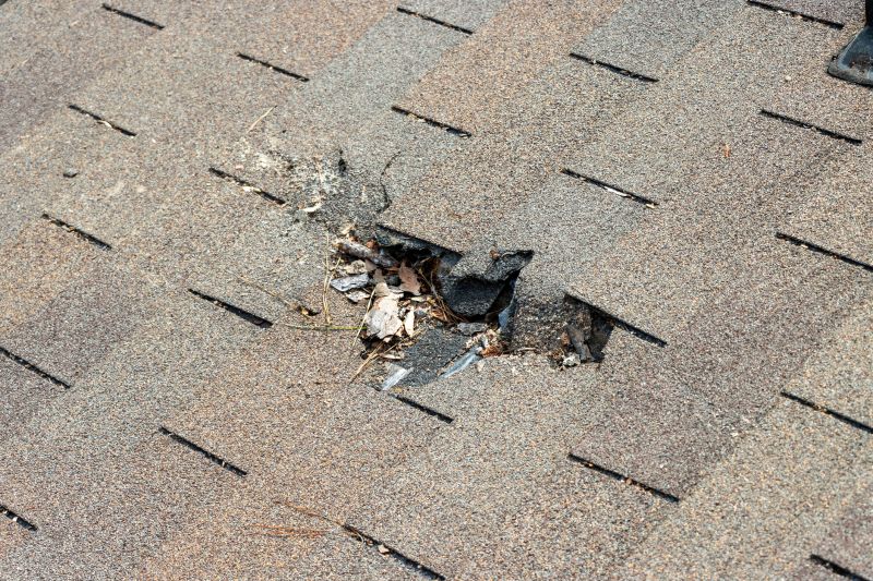 Roof Repair Vs. Roof Replacement: How To Decide