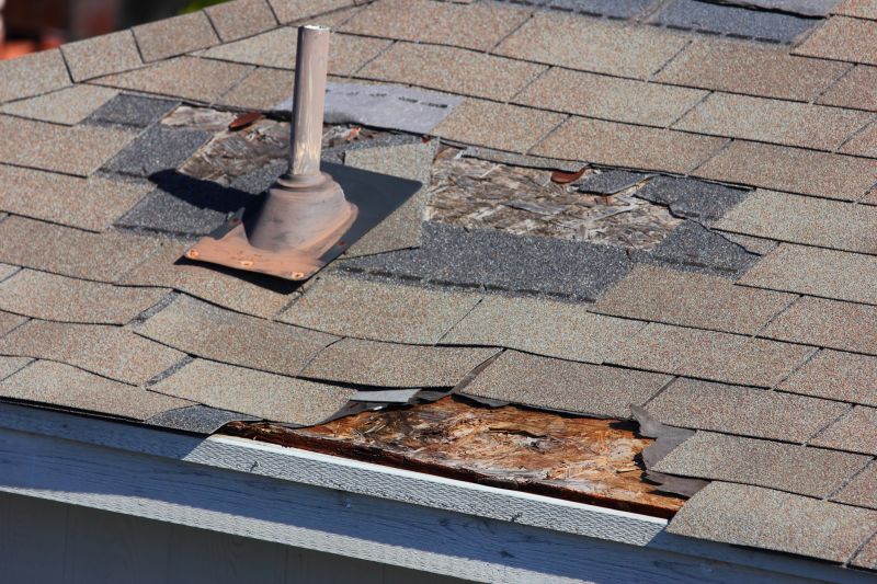 Shingle Roof Repair
