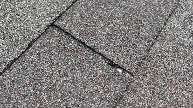 Shingle Roof Repair