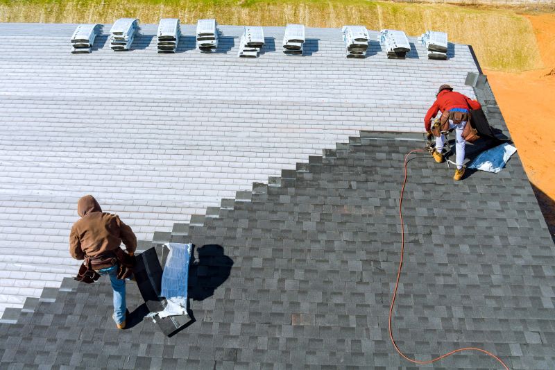 What To Expect During A Professional Roofing Repair Visit